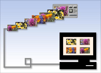 Import photos from your camera Import photos from your camera